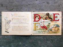 Load image into Gallery viewer, Dicky Birds ABC