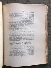 Load image into Gallery viewer, The Insect Book by Leland O. Howard