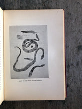 Load image into Gallery viewer, "Dan Beard's Animal Books and Camp-Fire Stories" by Dan Beard