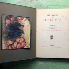 Load image into Gallery viewer, My Book of Little Dogs. Drawings by G. Vernon Stokes. Letterpress by F. Townend Barton