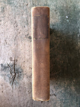 Load image into Gallery viewer, The Insect Book by Leland O. Howard