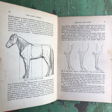 Load image into Gallery viewer, “The Family Horse; Its Stabling, Care and Feeding. A Practical Manual for Horse-Keepers.” by Geo. A. Martin.