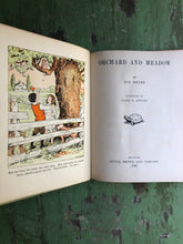 Load image into Gallery viewer, Orchard and Meadow by Zoe’s Meter and illustrated by Clara E. Atwood