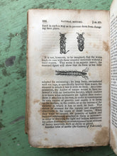 Load image into Gallery viewer, The Natural History of Insects. First Series.