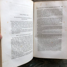 Load image into Gallery viewer, Hallucinations: The Rational History of Apparitions, Visions, Dreams, Ecstasy, Magnetism, and Somnambulism. by A. Brierre de Boismont
