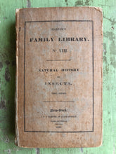 Load image into Gallery viewer, The Natural History of Insects. First Series.