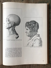 Load image into Gallery viewer, Seeing The Insane by Sander L. Gilman
