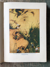 Load image into Gallery viewer, Tanglewood Tales by Nathaniel Hawthorne. With illustrations by Milo Winter
