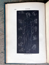 Load image into Gallery viewer, Solar Biology. A Scientific Method of Delineating Character; Diagnosing Disease; Determining Mental, Physical, and Business Qualifications, Conjugal Adaptability, Etc., Etc., From Date of Birth by Hiram E. Butler
