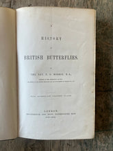 Load image into Gallery viewer, A History of British Butterflies by The Rev. F. O. Morris
