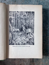 Load image into Gallery viewer, Bambi: A Life in the Woods by Felix Salten.
