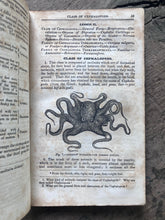 Load image into Gallery viewer, Elements of Conchology: Prepared for the Use of Schools and Colleges, by W. S. W. Ruschenberger from the Text of Milne Edwards, and Achille Comte
