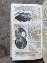 Load image into Gallery viewer, Elements of Conchology: Prepared for the Use of Schools and Colleges, by W. S. W. Ruschenberger from the Text of Milne Edwards, and Achille Comte
