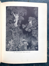 Load image into Gallery viewer, Shakespeare's Comedy of A Mid-Summer Night's Dream

