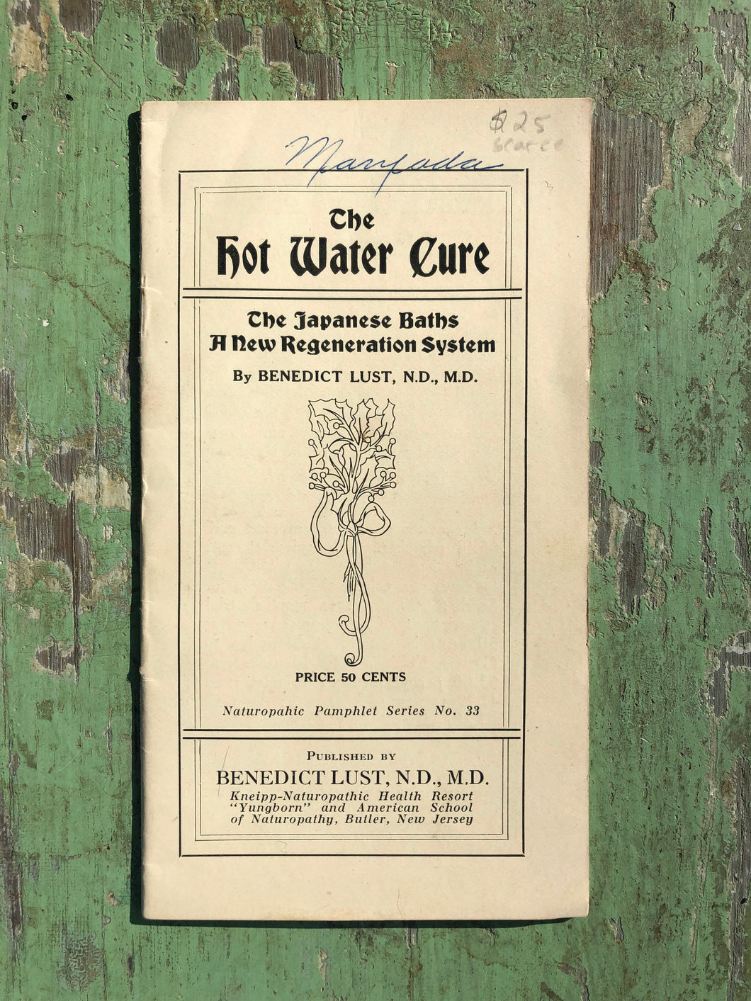 The Hot Water Cure: The Japanese Baths, A New Regeneration System by Benedict Lust. Naturopathic Pamphlet Series No. 33