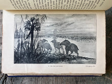Load image into Gallery viewer, Twenty-Five Years in British Guiana by Henry Kirke
