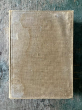 Load image into Gallery viewer, The Insect Book by Leland O. Howard
