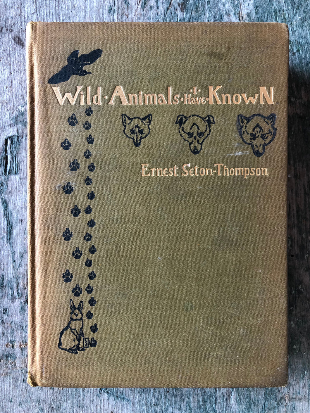 Wild Animals I Have Known and 200 Drawings by Ernest Seton-Thompson