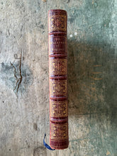 Load image into Gallery viewer, Book of Raphael&#39;s Madonnas by James P. Walker
