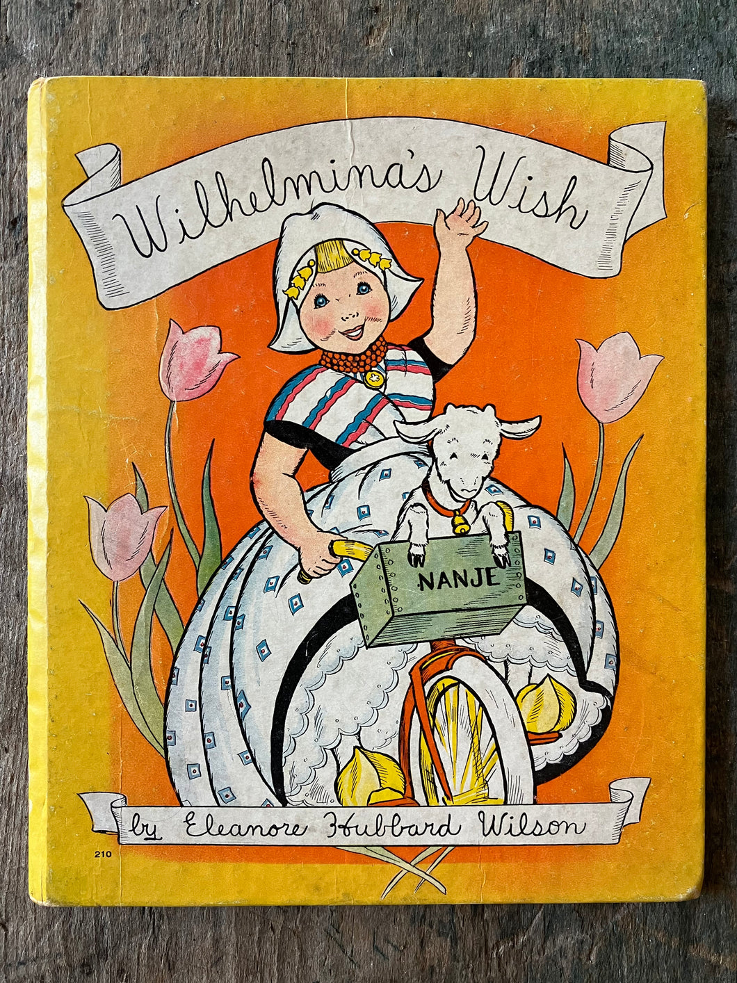 Wilhemina's Wish by Eleanore Hubbard Wilson