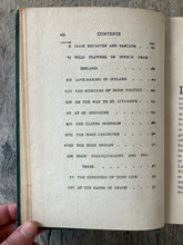 Load image into Gallery viewer, Irish Life and Character by Michael MacDonagh
