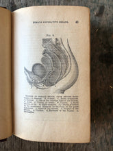 Load image into Gallery viewer, Dr. Clark&#39;s New Illustrated Marriage Guide. A Treatise on the Anatomy and Physiology of the Generative Organs of Both Sexes, and Their Organic and Functional Diseases.
