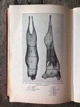 Load image into Gallery viewer, The Fundamentals of Live Stock Judging and Selection by Robert S. Curtis
