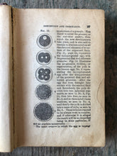 Load image into Gallery viewer, Dr. Clark&#39;s New Illustrated Marriage Guide. A Treatise on the Anatomy and Physiology of the Generative Organs of Both Sexes, and Their Organic and Functional Diseases.
