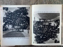 Load image into Gallery viewer, The Gulf Coast of Mississippi by Nola Nance Oliver. INSCRIBED
