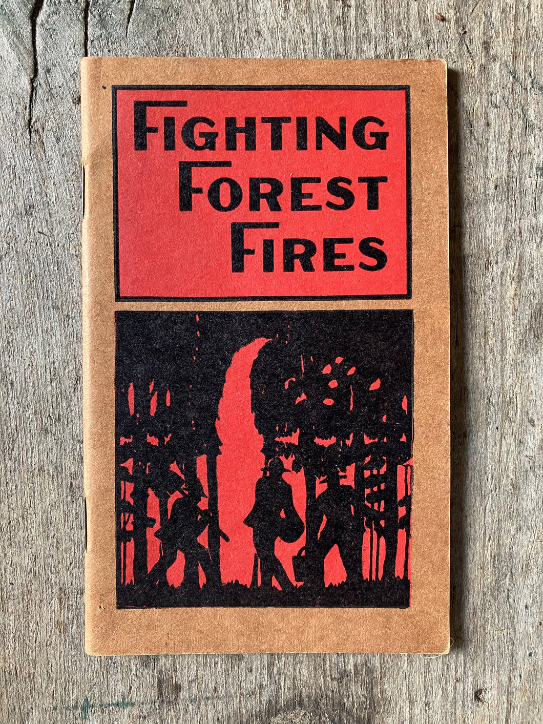 Fighting Forest Fires