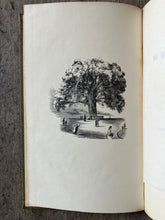 Load image into Gallery viewer, The Great Tree on Boston Common by J. C. Warren
