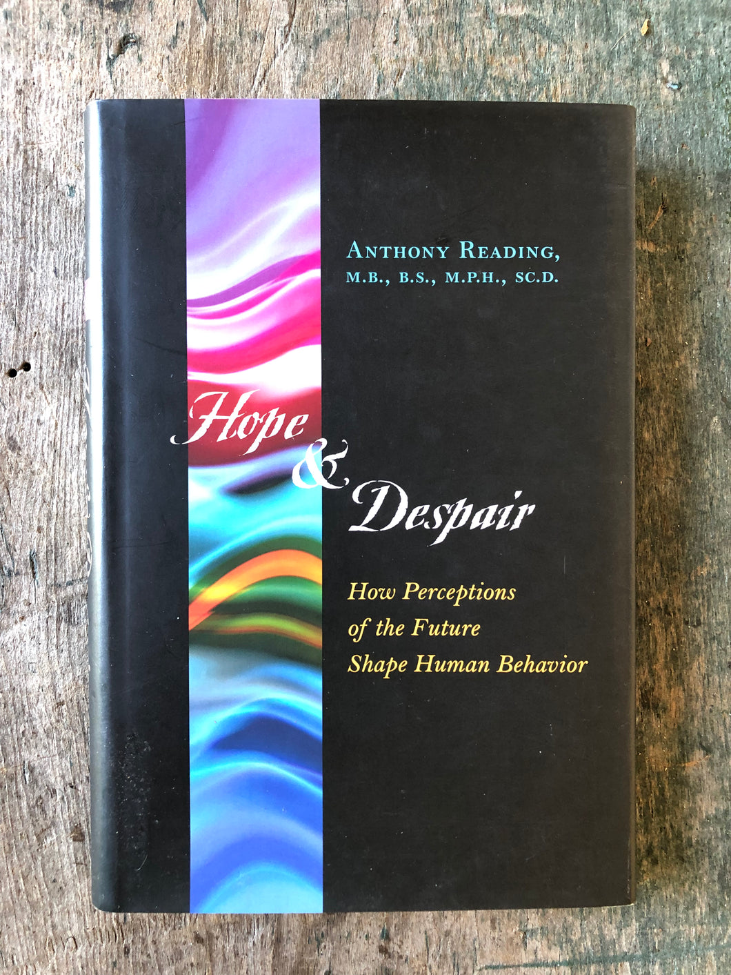 Hope and Despair: How Perceptions of the Future Shape Human Behavior by Anthony Reading