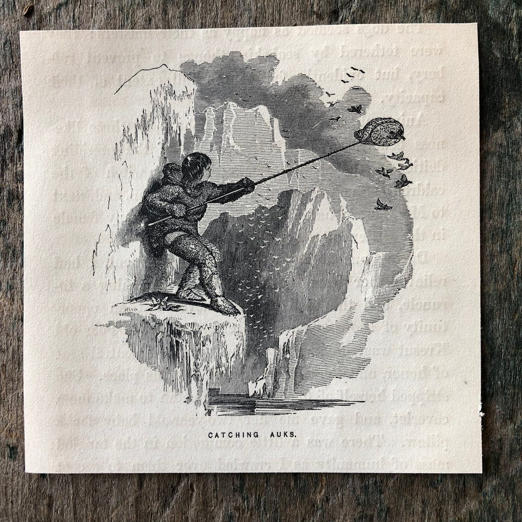 Catching Auks. Print from “Arctic Exploration: the Second Grinnell Expedition to Find Sir John Franklin, 1853, 54, 55” by Elisha Kent Kane