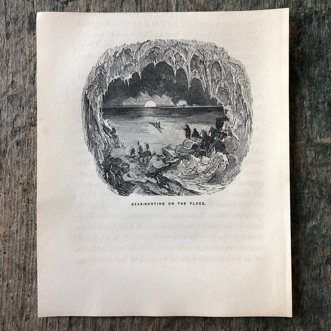 Bear-Hunting on the Floes. Print from “Arctic Exploration: the Second Grinnell Expedition to Find Sir John Franklin, 1853, 54, 55” by Elisha Kent Kane