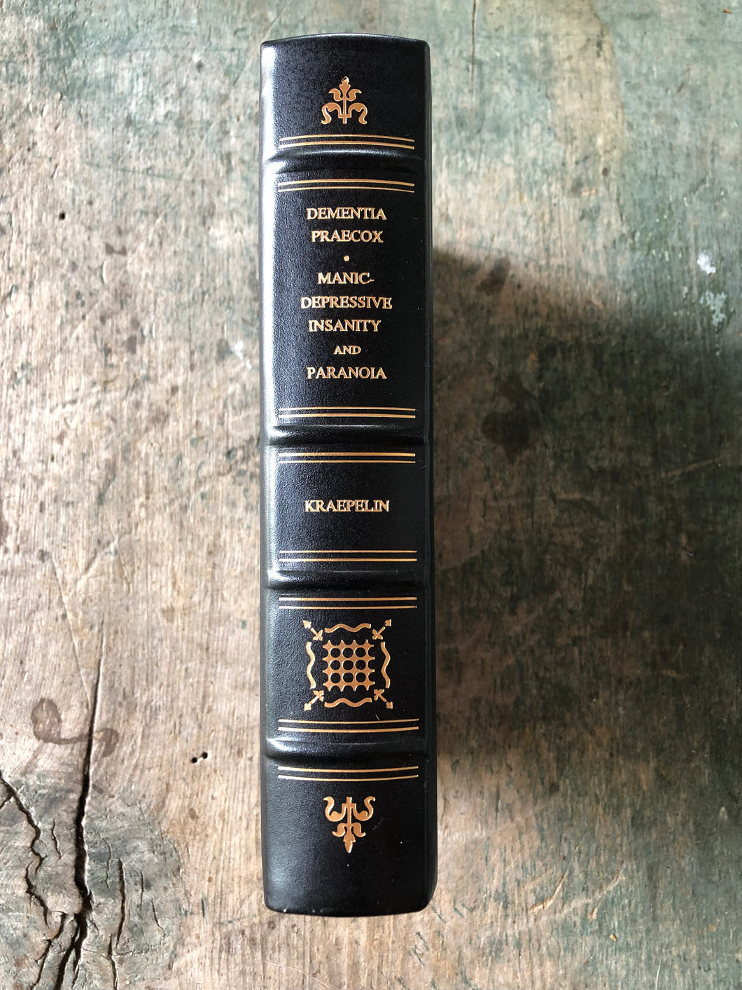 Dementia Praecox and Paraphrenia together with Manic-Depressive Insanity and Paranoia by Dr. Emil Kraepelin
