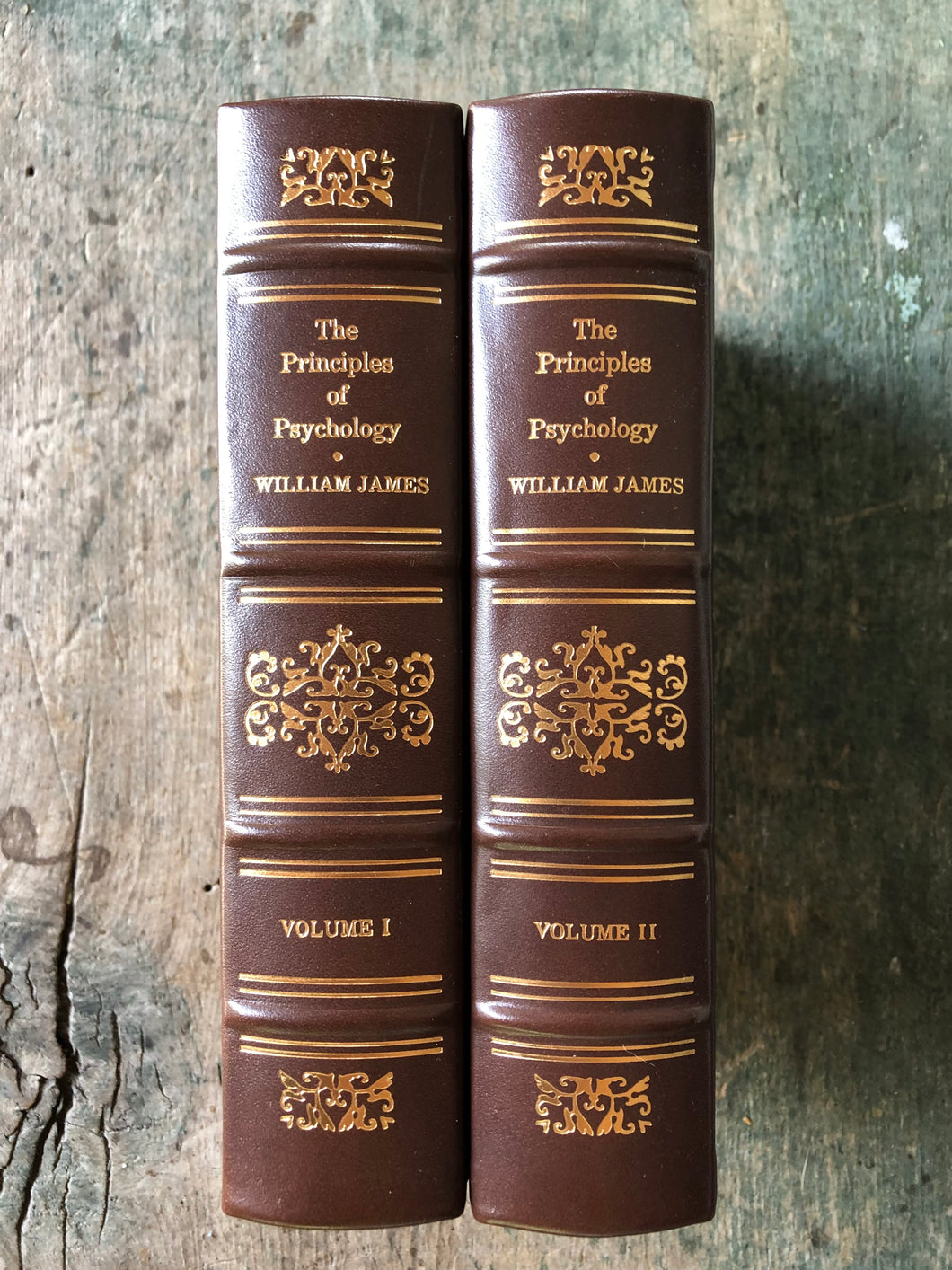 The Principles of Psychology in Two Volumes by William James