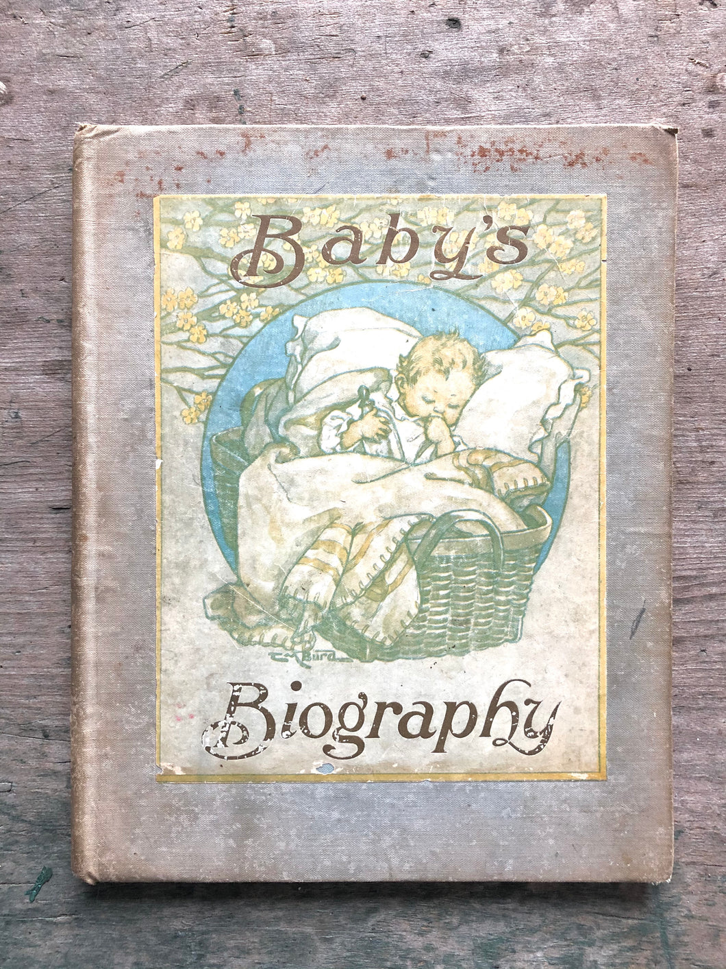 Baby's Biography
