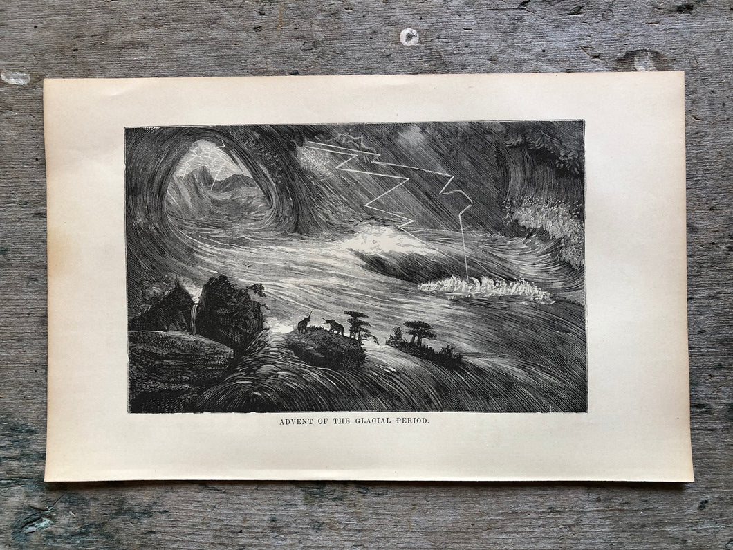 Print from Work-Days of God; Or, Science and the Bible