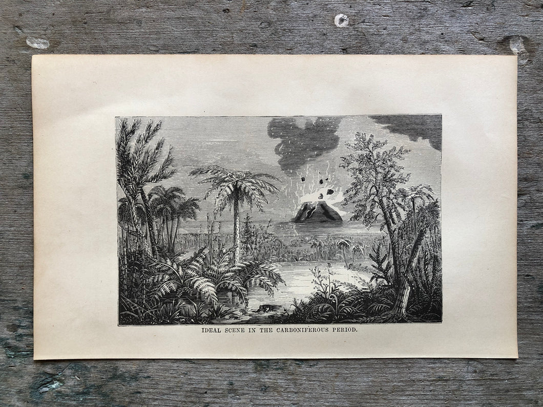 Print from Work-Days of God; Or, Science and the Bible