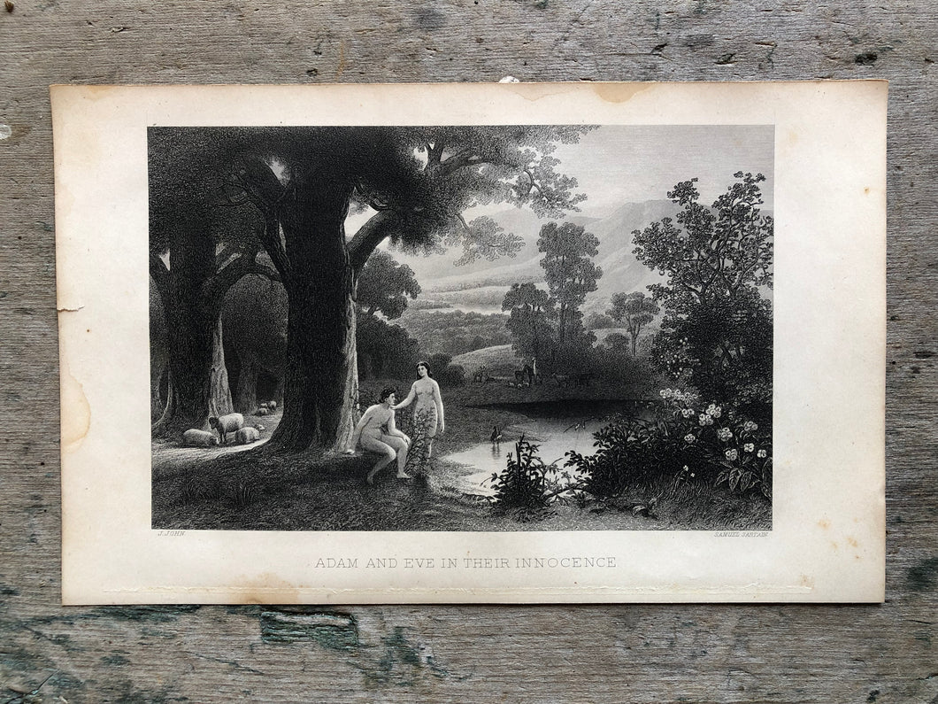 Adam and Eve Etching from Work-Days of God; Or, Science and the Bible