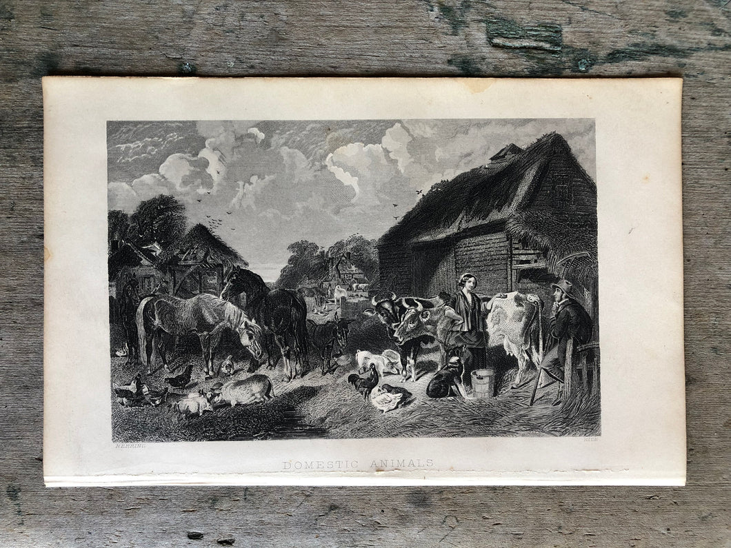 Etching from Work-Days of God; Or, Science and the Bible
