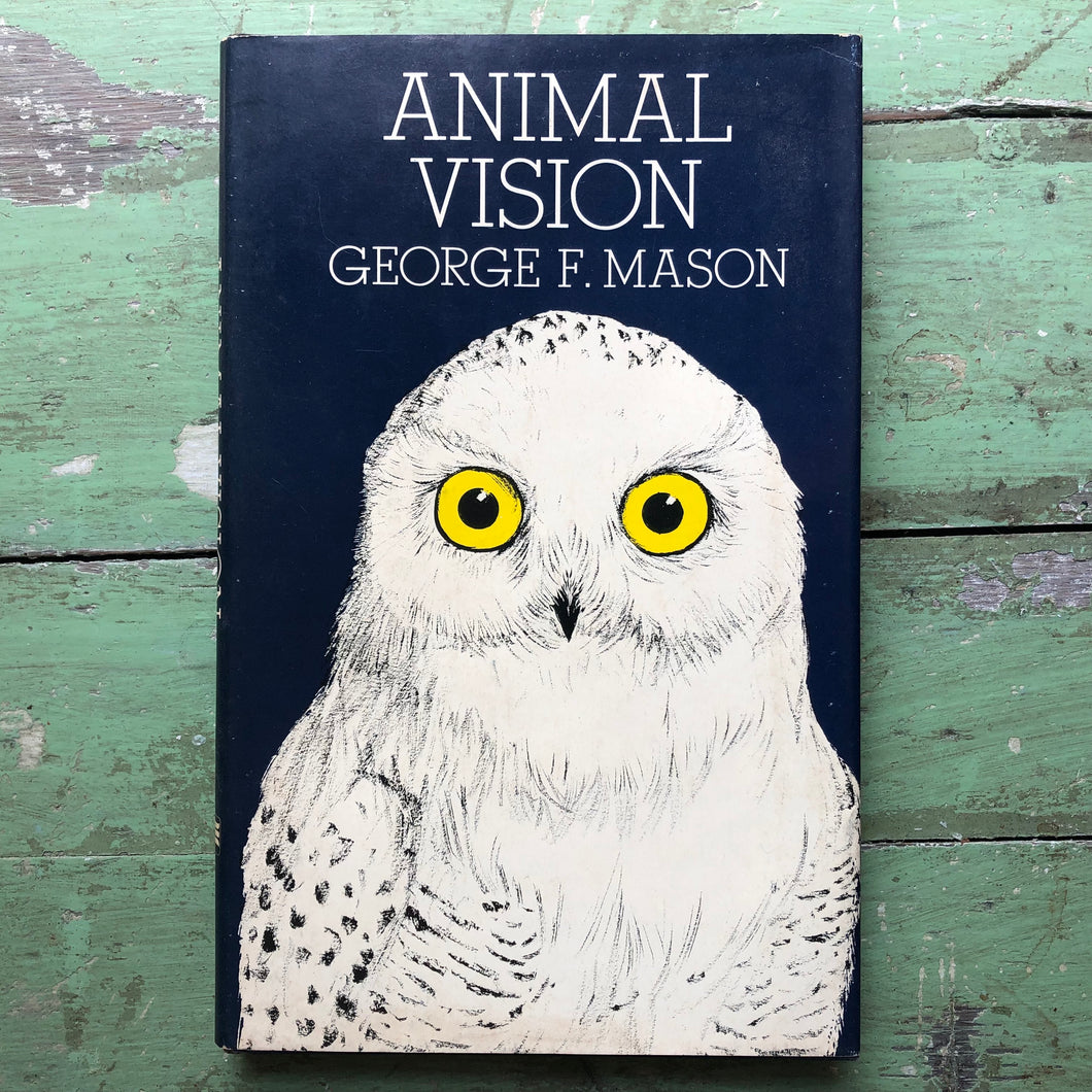 Animal Vision written and illustrated by George F. Mason