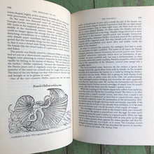 Load image into Gallery viewer, The Sex Life of the Animals by Herbert Wendt
