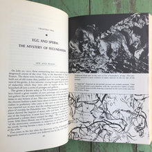 Load image into Gallery viewer, The Sex Life of the Animals by Herbert Wendt
