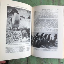 Load image into Gallery viewer, The Sex Life of the Animals by Herbert Wendt
