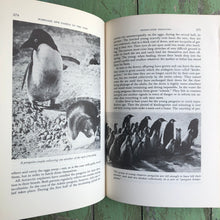 Load image into Gallery viewer, The Sex Life of the Animals by Herbert Wendt
