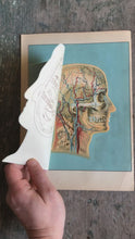 Load and play video in Gallery viewer, Flap Print from “Domestic Medical Practice: A Household Adviser in the Treatment of Diseases, Arranged for Family Use”
