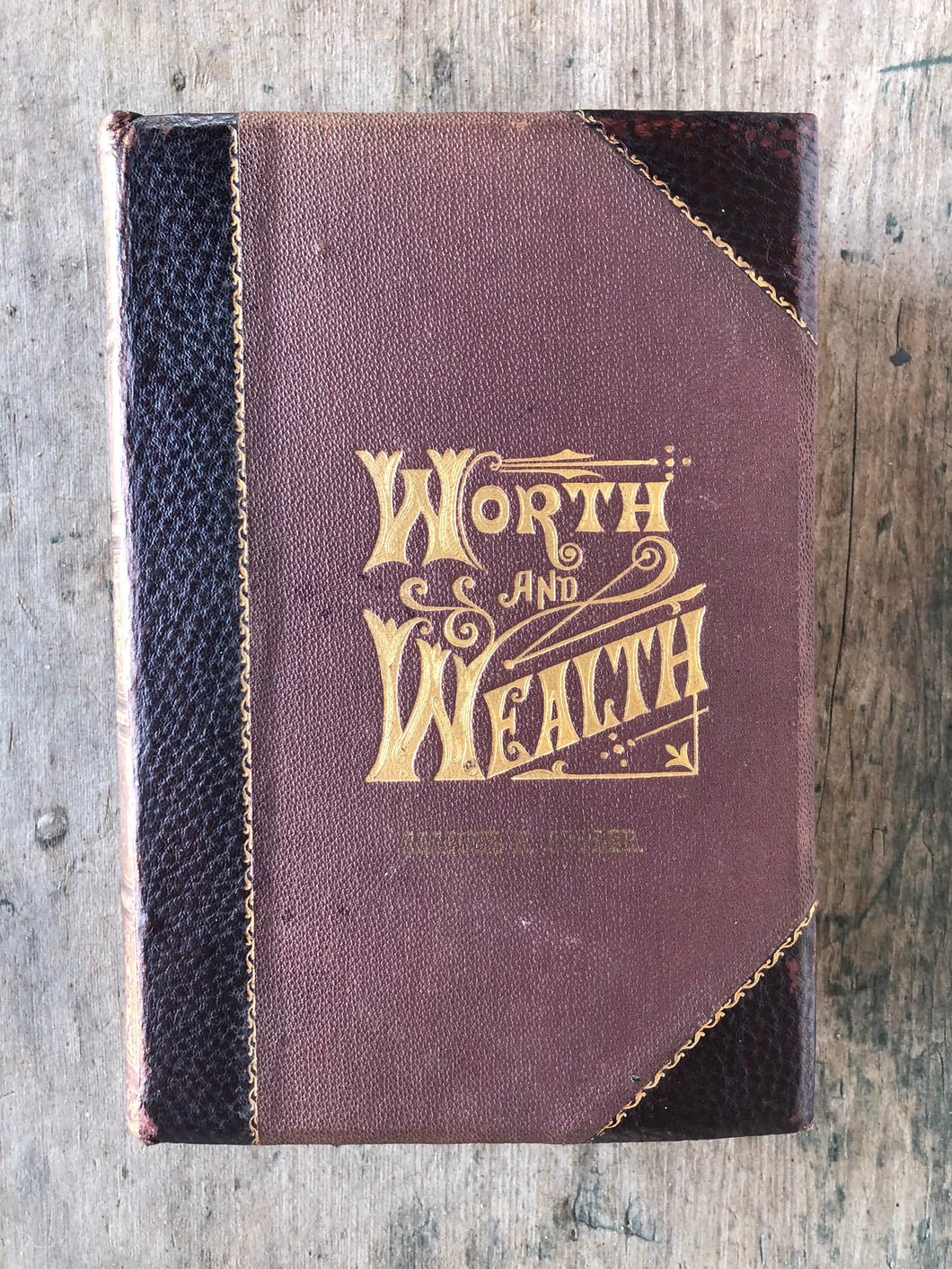 Worth and Wealth Or the Art of Getting, Saving and Using Money by T. L. Haines