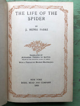 Load image into Gallery viewer, The Life of the Spider. by J. Henri Fabre
