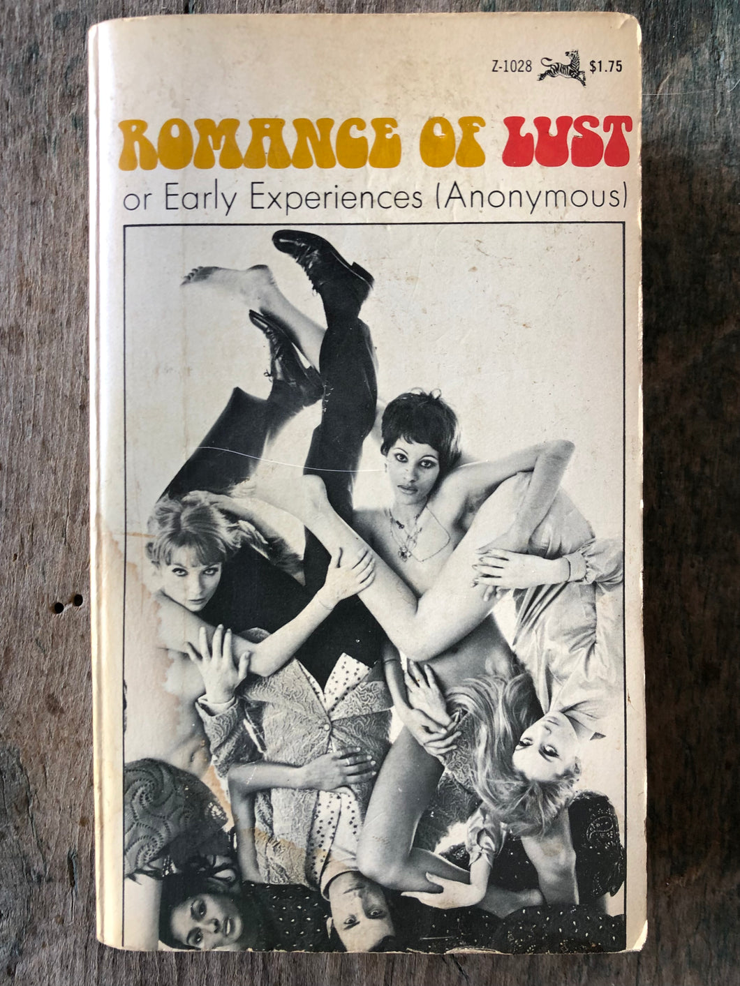 Romance of Lust or Early Experiences by Anonymous